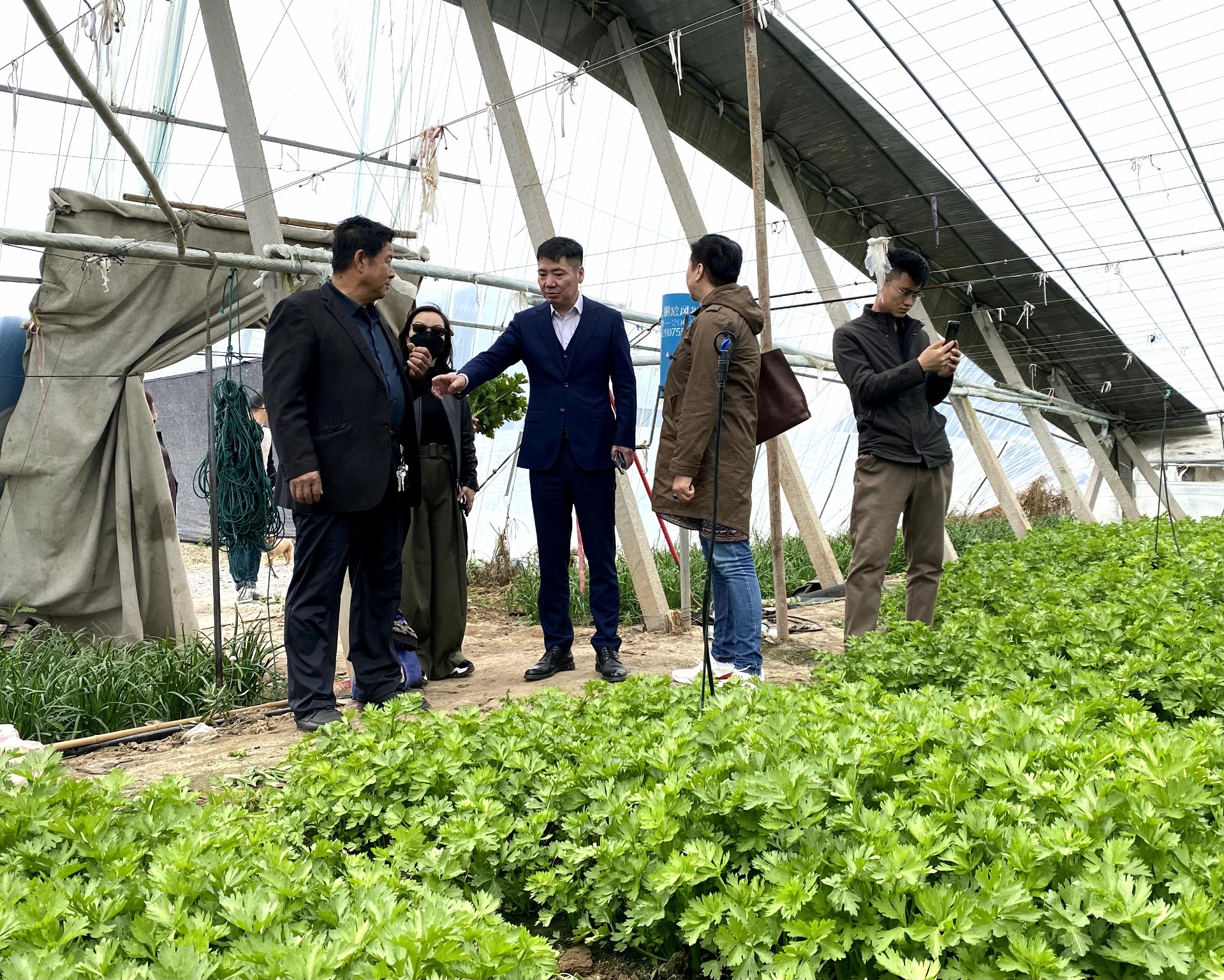 1682570875340924.jpg 花卉大興調查.jpg